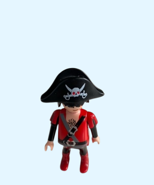 playmobil rode piraat